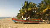 Marari Beach on the Arabian Sea, 11 km from Alleppey in Kerala, is lined with fishing boats. Fishermen head out to sea every night.